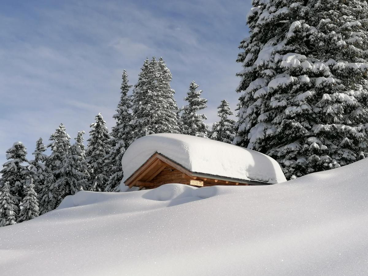 Dolomites B&B - Suites, Apartments And Spa Tesero Eksteriør bilde