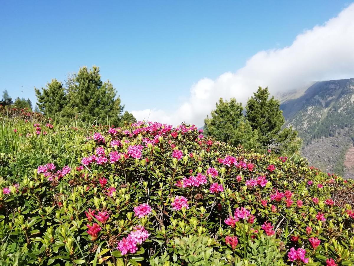 Dolomites B&B - Suites, Apartments And Spa Tesero Eksteriør bilde