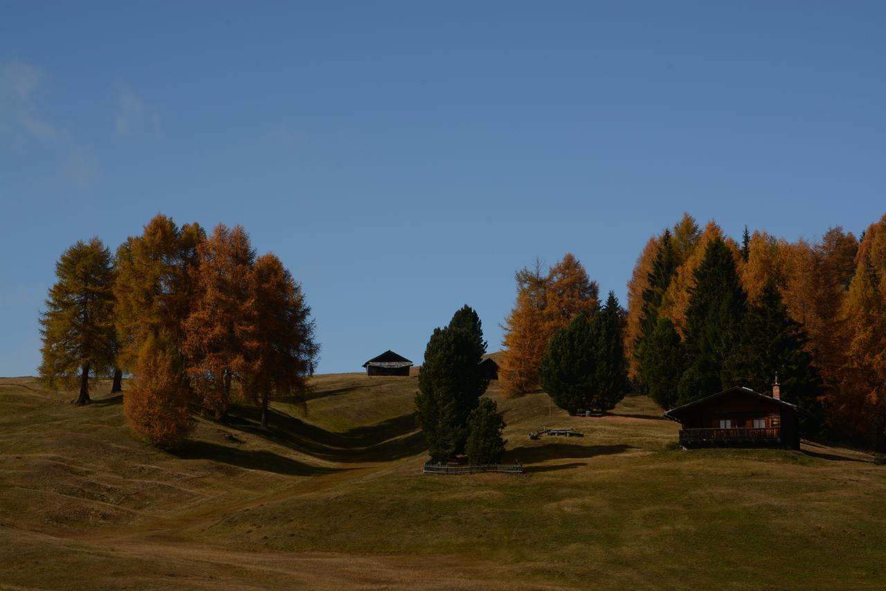 Dolomites B&B - Suites, Apartments And Spa Tesero Eksteriør bilde